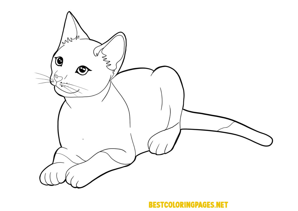 Cat coloring page for kids - Free printable coloring pages