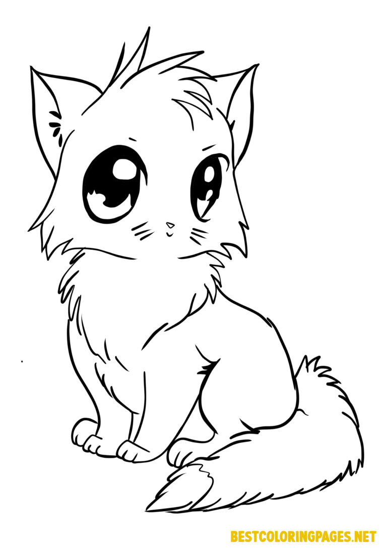 Cat coloring sheet - Free printable coloring pages