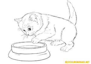 Cats coloring pages 4