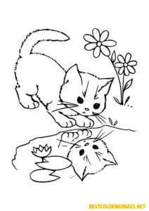 Coloring pages cat
