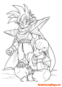 Dragon Ball coloring page for boys