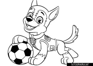 Chase with a ball coloring book