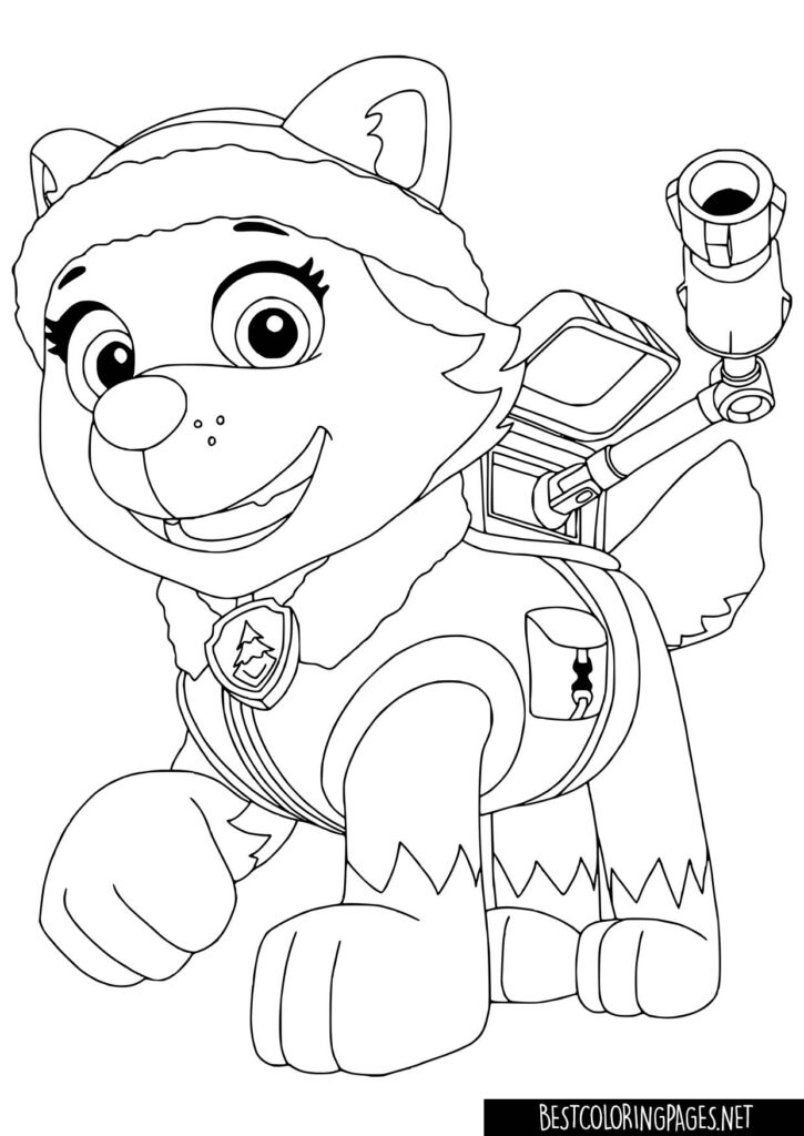 Everest Paw Patrol to colouring