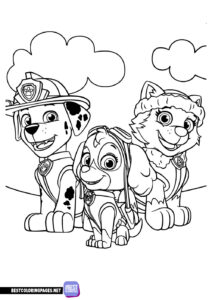 PAW Patrol coloring page for kids.