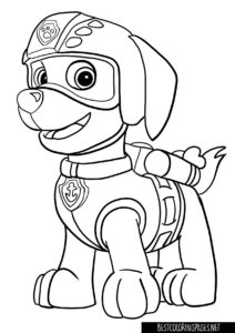 Paw Patrol Coloring Pages Zuma