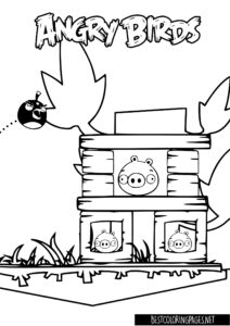 Angry Birds Coloring Pages for kids