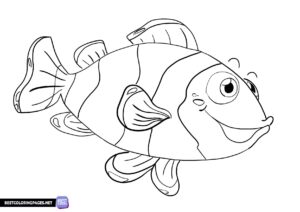 Animals coloring - fish