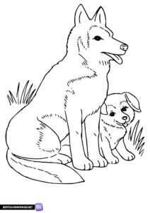 Animals coloring page - dog