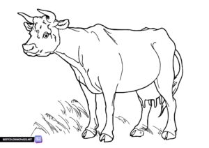 Cow - animals coloring page