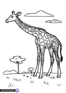 Giraffe coloring page for kids.