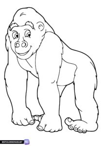 Animals coloring page - Gorilla coloring page