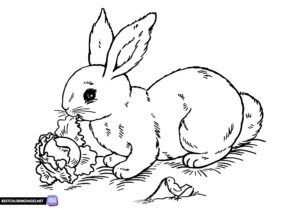 Hare coloring page free printable
