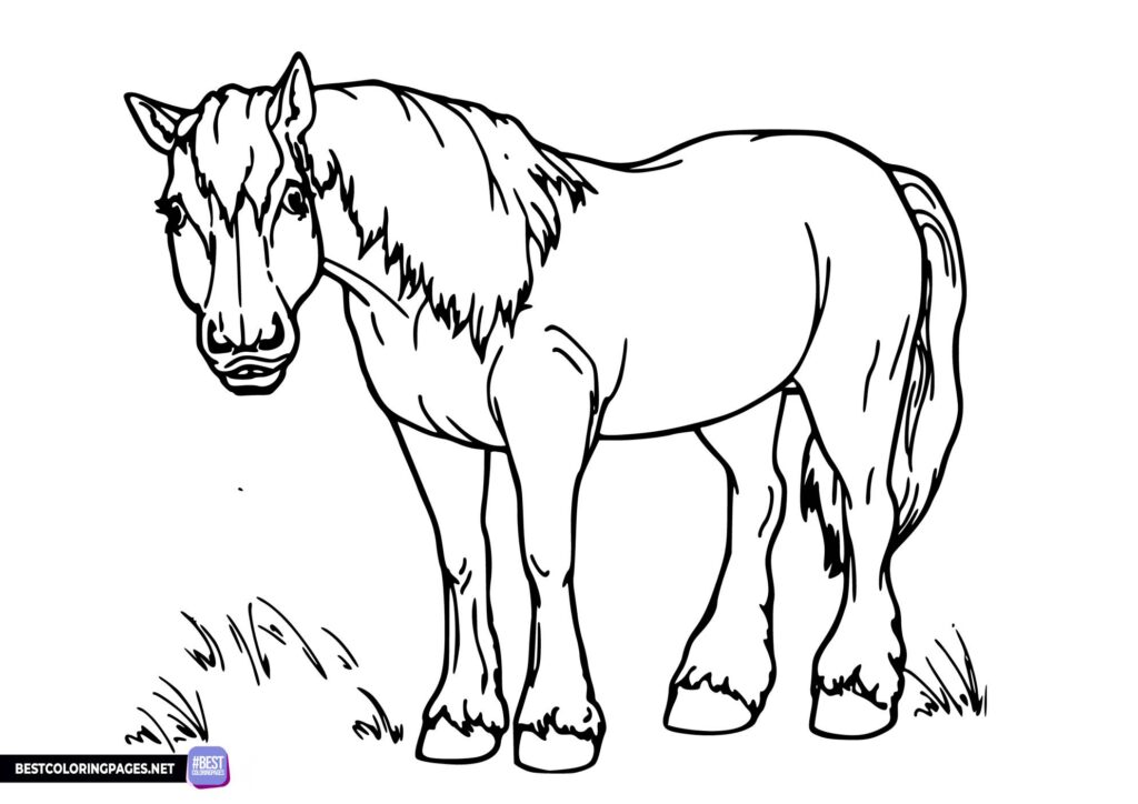 Horse coloring page for print.