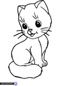Kitten animals coloring book