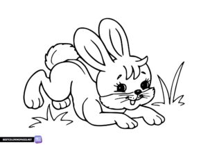 Rabbit coloring page to print