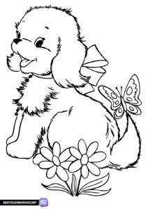 A dog with a butterfly coloring