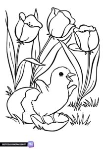 Baby bird spring coloring page