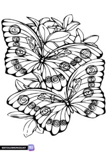 Butterflies coloring page