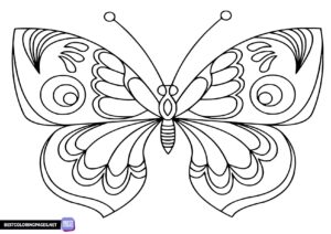 Butterflies coloring pages