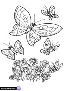 Butterflies free printable coloring page