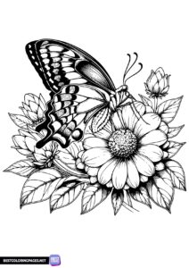 Butterfly coloring page for adult