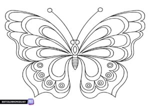 Butterfly coloring page to print