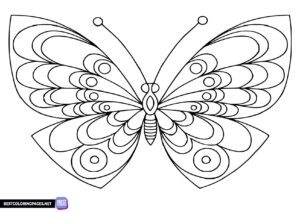 Butterfly colouring page