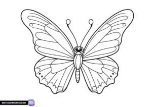 Butterfly easy coloring pages