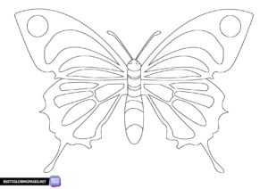 Butterfly template for printing or coloring