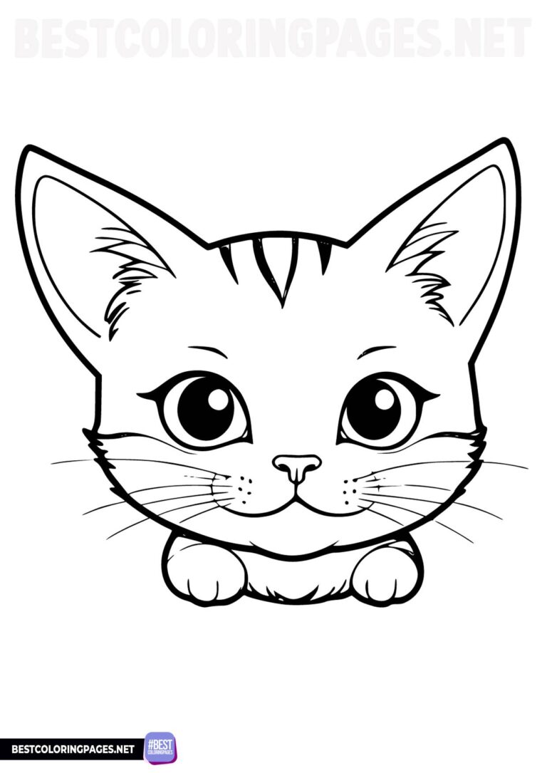 Cat face coloring page