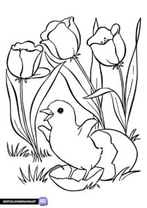 Chick Coloring page to print