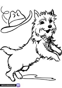 Coloring Book Dog