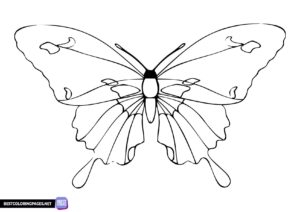Coloring page with a butterfly