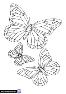 Coloring page with butterflies