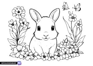 Coloring pages Spring