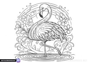 Coloring pages with a Flamingos