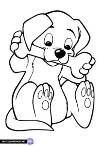 Cute puppy coloring page
