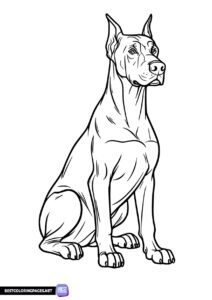 Doberman coloring page for kids