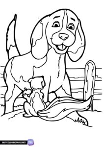 Dog coloring book