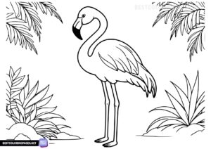 Flamingo free coloring page