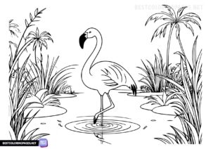 Flamingo in the water coloring pages