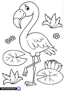 Flamingos coloring page