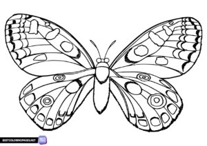 Free Butterfly coloring page