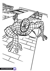 Free printable coloring pages of Spiderman