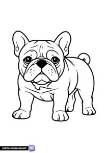 French bulldog coloring pages