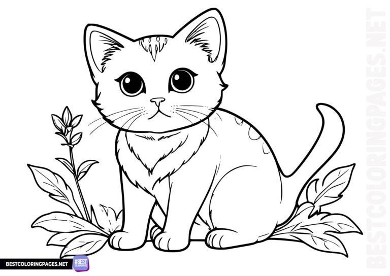 Kitty coloring books