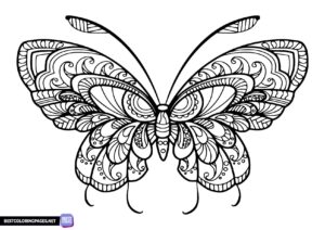 Mandala butterfly coloring page