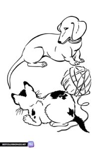 Printable cat and dog coloring pages