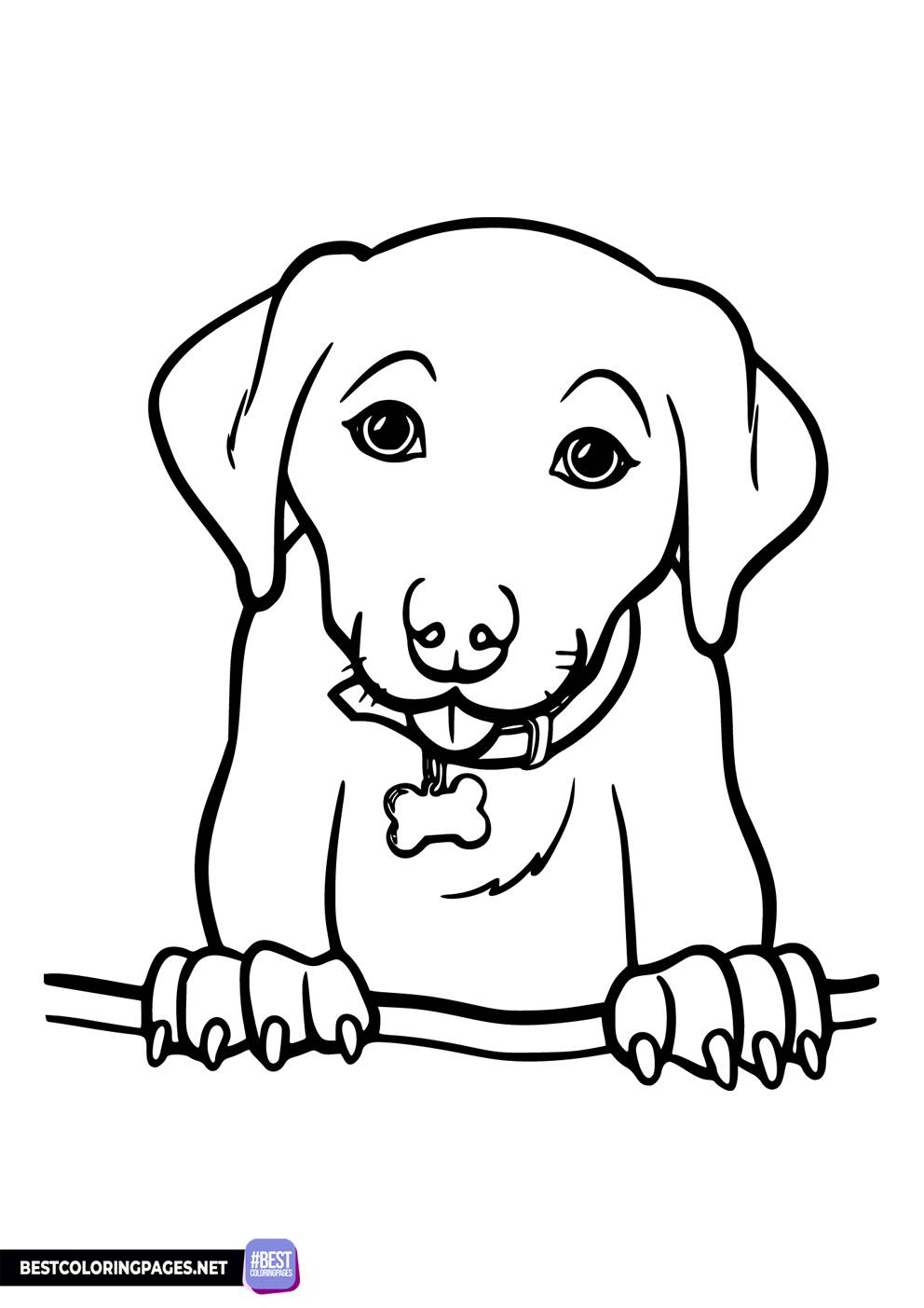 Dog coloring pages