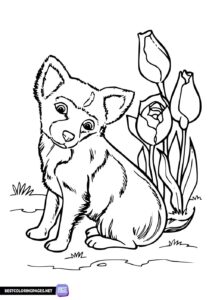 Puppy coloring book